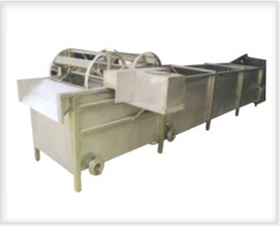 DP-6700大蒜漂皮機(jī)