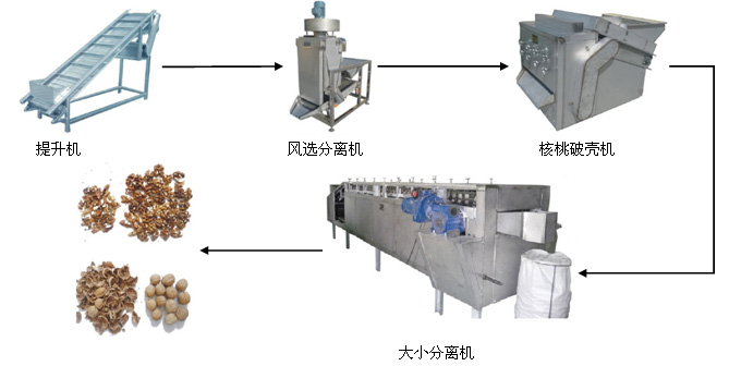 核桃仁破殼取仁生產(chǎn)線